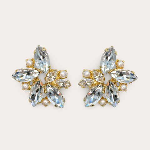 Small earrings set with 10 crystals