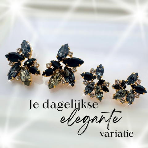 Small earrings set with 10 crystals